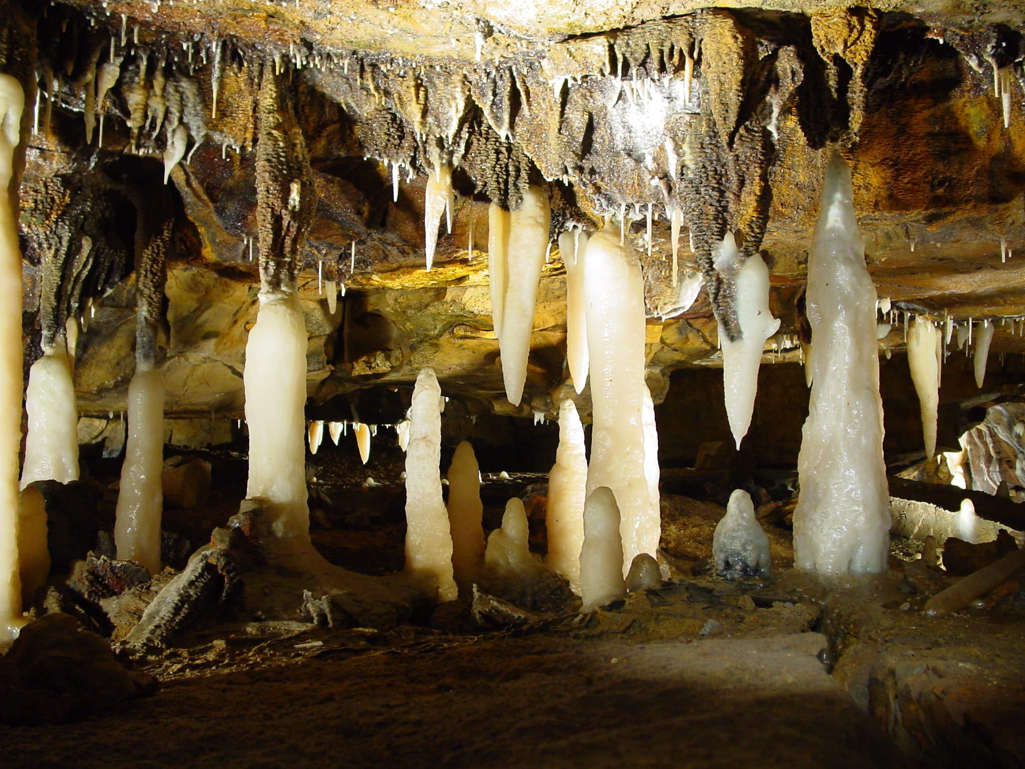 A Family Trip to Ohio Caverns