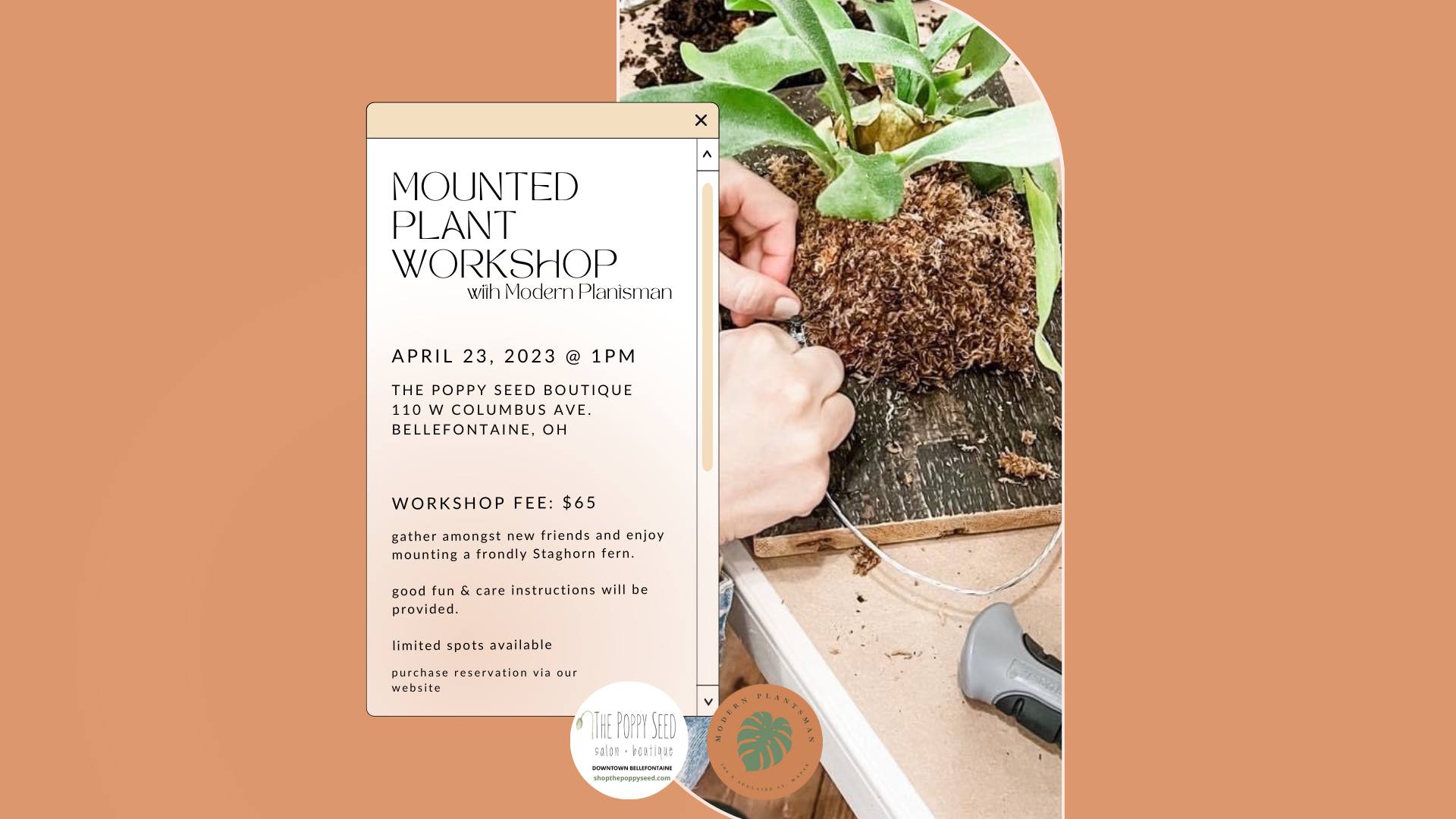 Mounted Plant Workshop @ The Poppy Seed Boutique