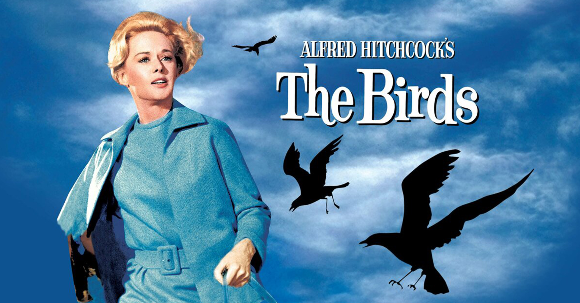 The Birds