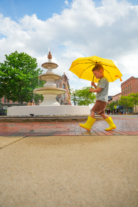 The pineapple fountain downtown