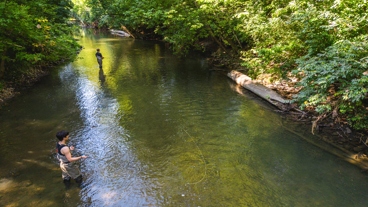 Fly fishing near Bellefontaine