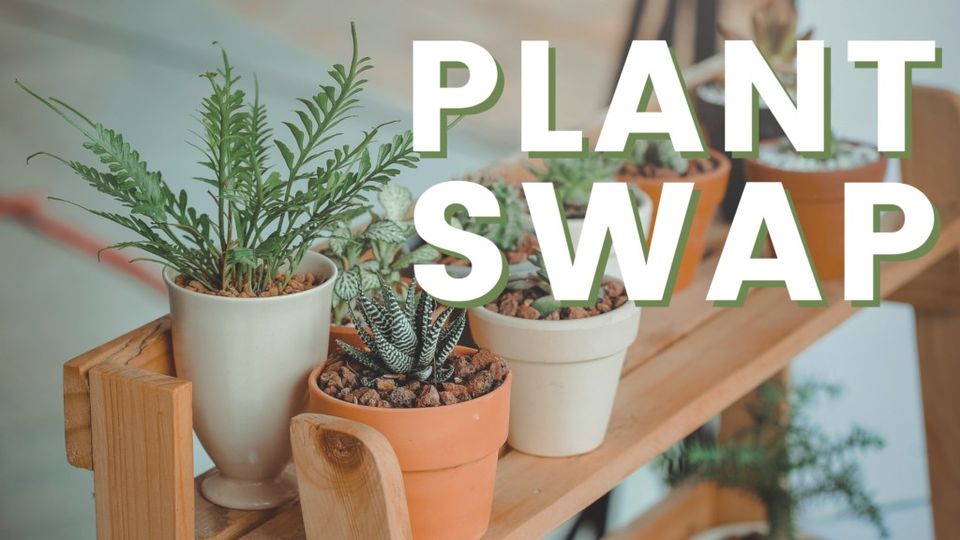 Plant & Pottery Swap