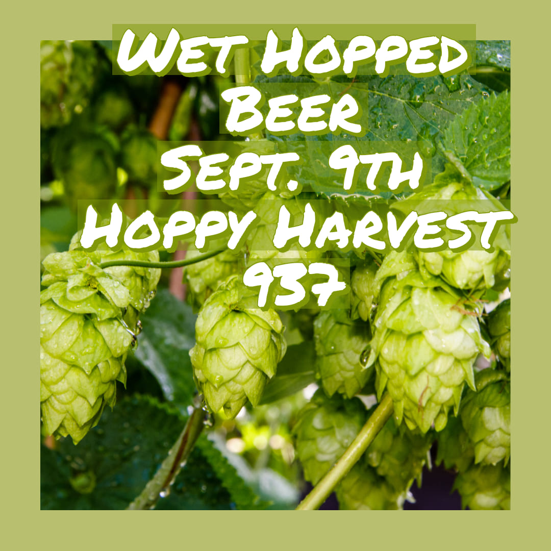 Wet Hopped Beer Release
