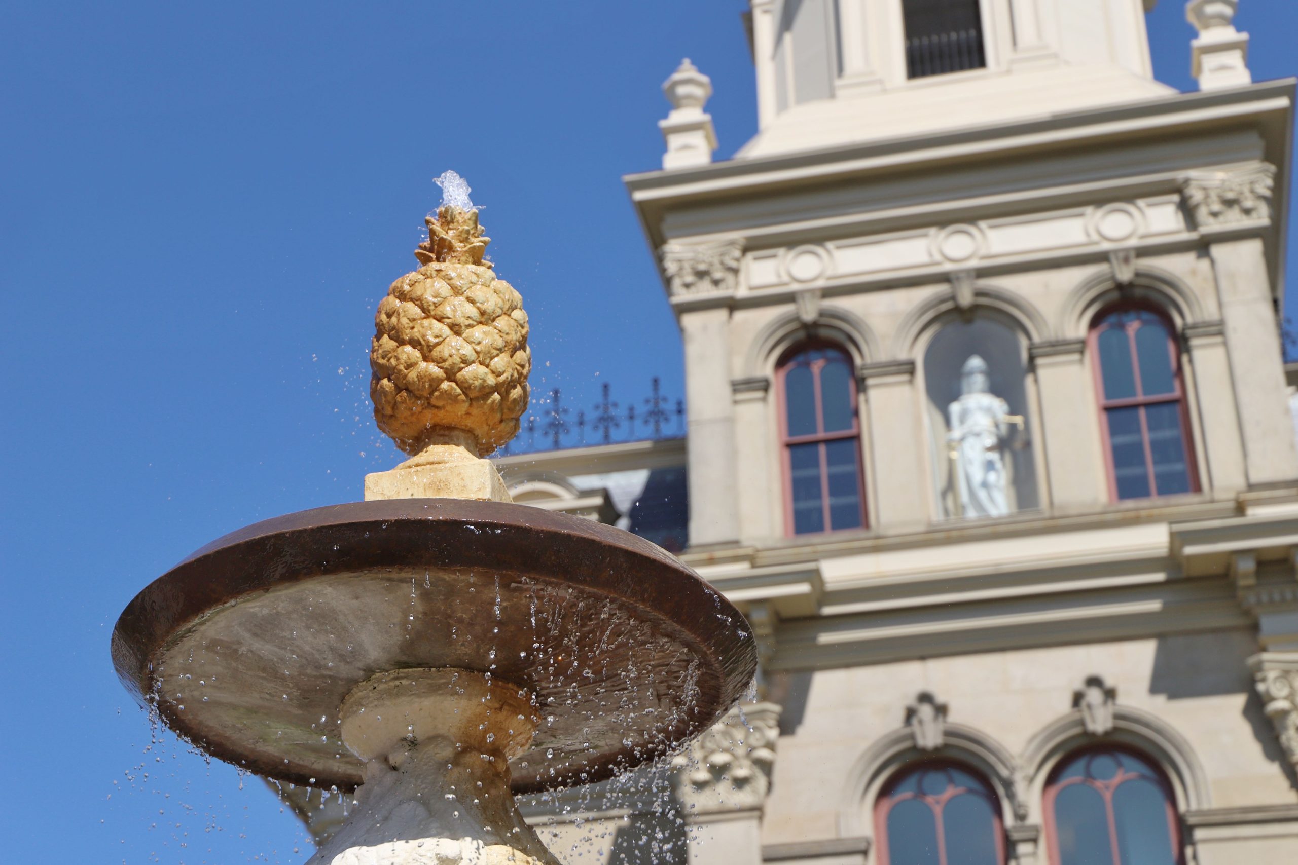 What’s the Deal With the Pineapple?