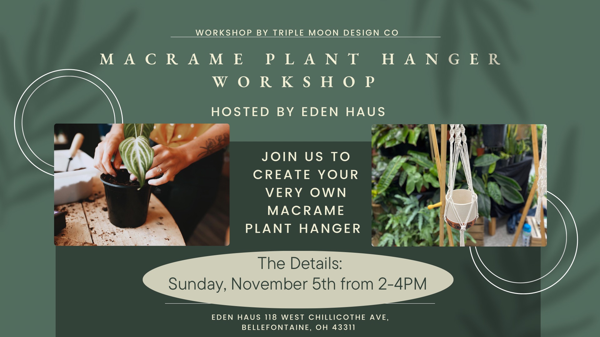November’s Macramé Magic: Join the Plant Hanger Workshop