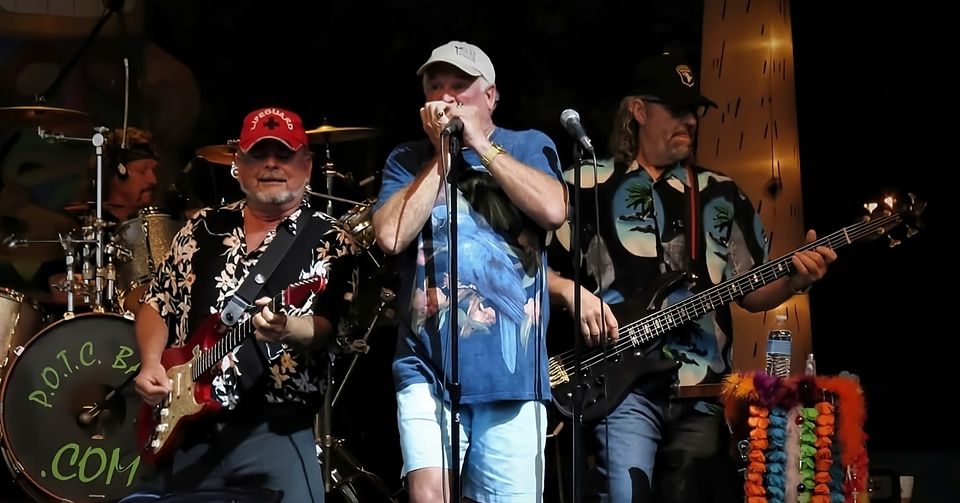 Parrots of the Caribbean | Salute to Jimmy Buffett